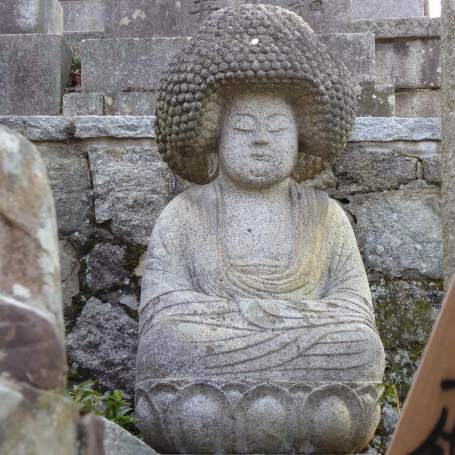 長野→東京→千葉→兵庫→京都と現在5都道府県目。 旭→下農→東農大卒 「競技かるた・スポーツ・神社仏閣・吹奏楽オーケストラ・投資資産運用・競馬・ネット・テレビ・ゲーム・クイズ・雑学教養・SNS・配信・食品グルメ・芸能・写真・散歩散策・芸術鑑賞・歴史古都・抹茶・スタバ・漫画」