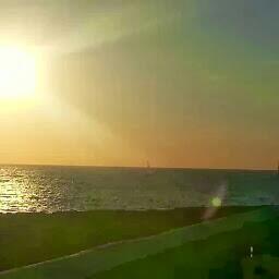 lucas7304's profile picture. 