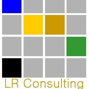 Consultant expert AMOA organisation & SI