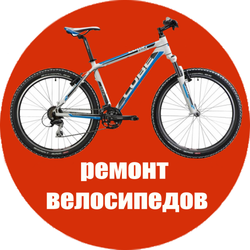 IguanaGrodno's profile picture. Ремонт велосипедов в Гродно