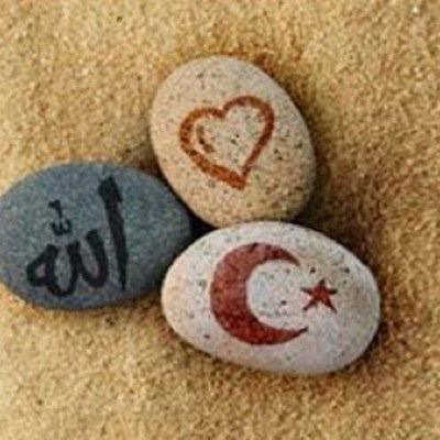 memnunmemnune's profile picture. Seyahatte cam kenarı sanki yalnızların yeridir. Çünkü aslında orası,başını koyacak omuz bulamayanlar içindir. / C.Dündar