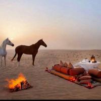 خالد (@oowoo755gmailc1) 's Twitter Profile