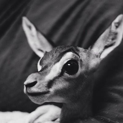 استغفرك ربي واتوب اليك ✨.