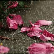 1Moorry's profile picture. 