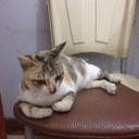 lili mariane saad (@023d51f66742432) Twitter