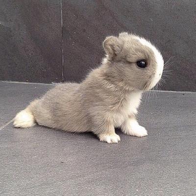 안녕