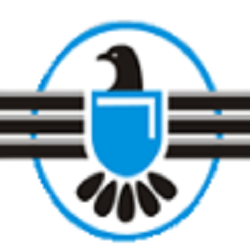 SkyHawkSecurity's profile picture. 