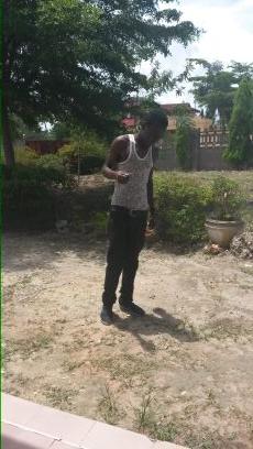 Lyf z nrmal n lvin free