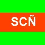 Se invita a twitteros, que en sus tweet incorporen el hashtag #sancarlospunilla como tópico especifico, para agrupar noticias de la Región de #Ñuble