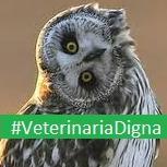 mrtOneLove's profile picture. Me gustan los perros y toco la flauta. Veterinaria en potencia, estudiante vaga en acto. Rompedora de cadenas y madre de dragones.