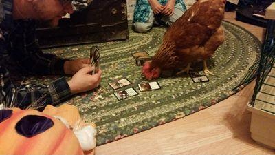 Madharper27's profile picture. Playing Magic since 1995. Grew up mostly in IL but lived in many places. Ghosthunter since before it became a fad and became commercialized. More about me on FB