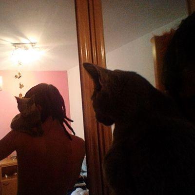 Reggae lover