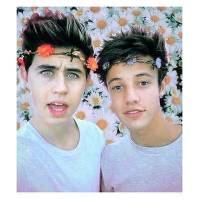 mattsedutora's profile picture. 0/12 me ajudem! pq deus na hr de fazer magcult n ajudou