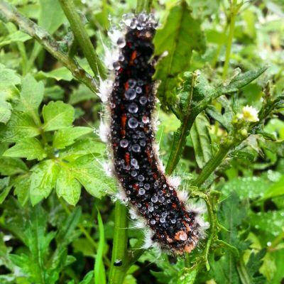 ba73c78bbccb4d3's profile picture. 