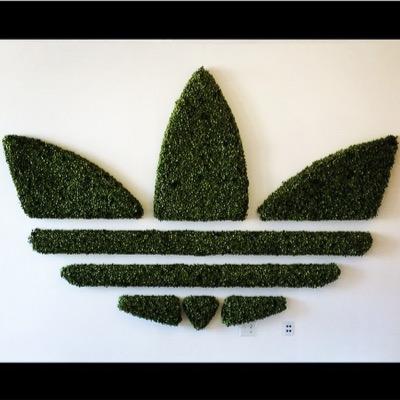 TJean06's profile picture. Live and Life