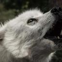 Joshua Roach - @821c59d813b8424 - Twitter