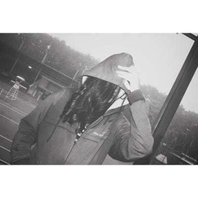-wdp-
