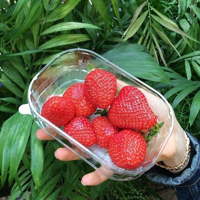 Darya_Katty's profile picture. 