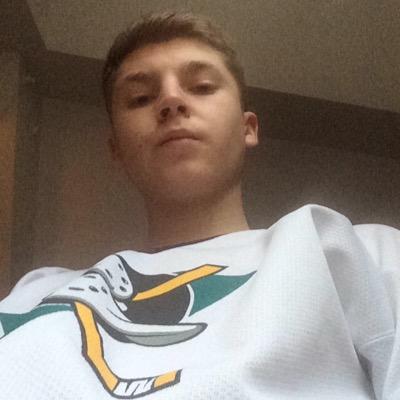 vilphp's profile picture. 