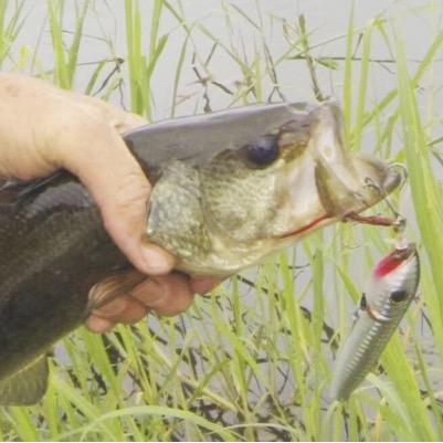 iowa_fishing's profile picture. DM your best fishing stories and/or your pictures!