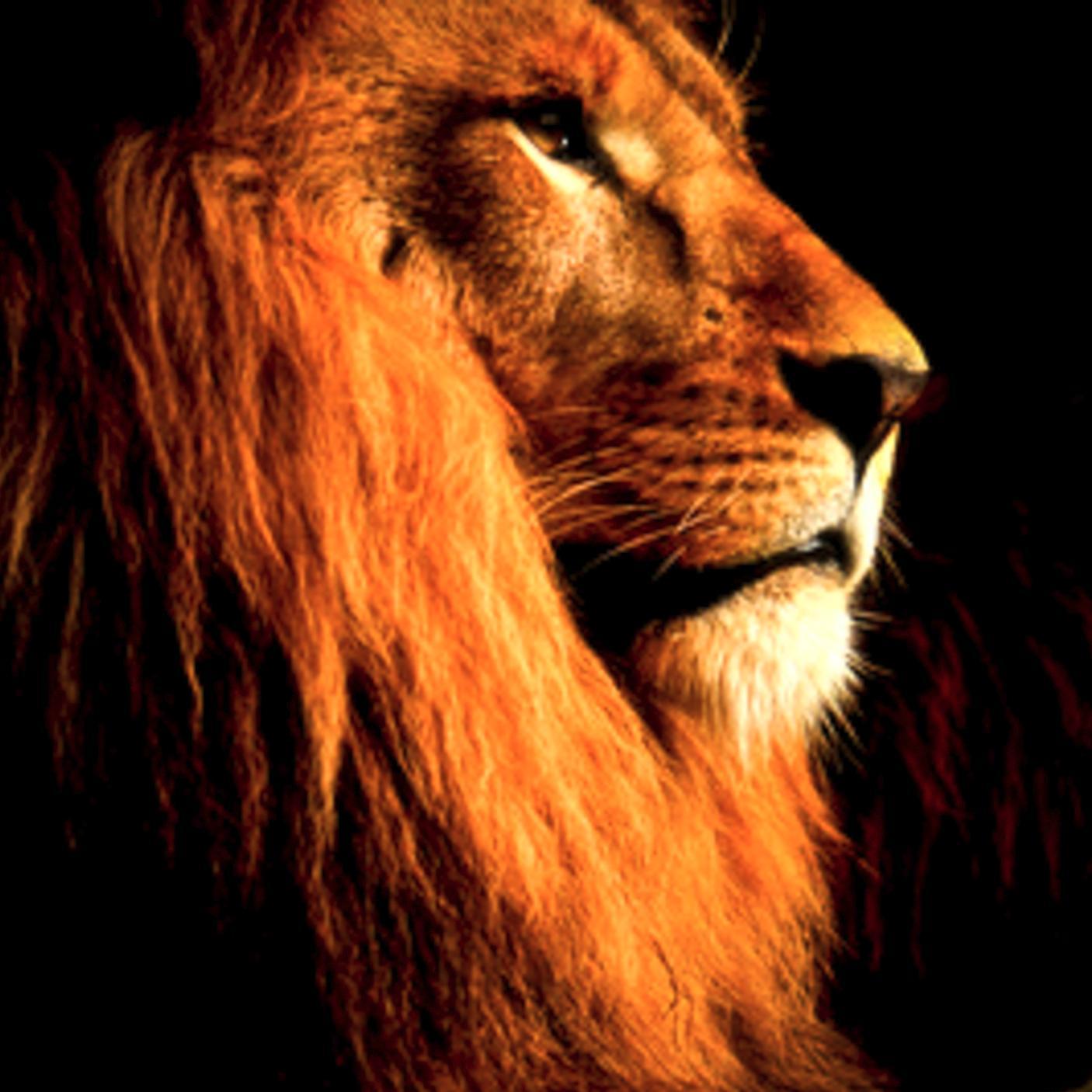 Encouraging others not to give up, as I help to win souls for the Lord. Choosing to be lead by the Holy Spirit as I fight the good fight for Christ.