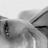 ingrid_barauna's profile image