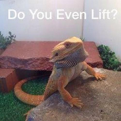Scoot 4 life,love reptiles,BMX all day