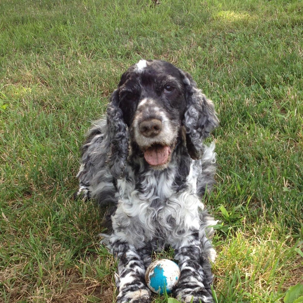 soca2's profile picture. 