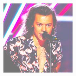 ✿ harry ((better than you)) styles ✿
