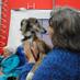 Willeke Barens (@willeke1949) Twitter profile photo Willeke Barens (@willeke1949) Twitter profile photo