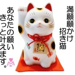 AVプロダクションgirfyマネージャーの杉山です。毎日仲間に女優さんに囲まれて楽しく過ごしてます^ - ^ ☆有名志望方、☆バレずにお金が稼ぎたい方、☆興味があるけど一歩踏み出せない方、☆話しを聞いてみたい方はDM下さいm(_ _)m 全力で対応させて頂きます！