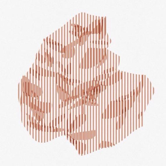 collectif d'artistes-auteurs et de médiateurs-chercheurs #mediationdauteur #documentation #experimentation