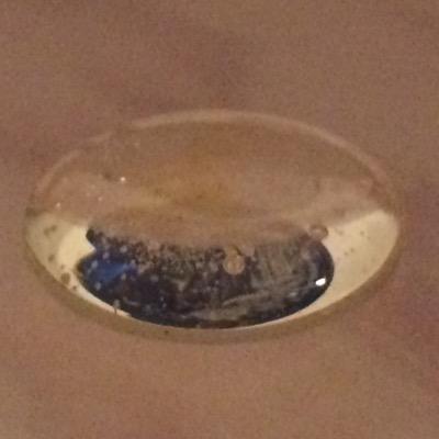 kayla9834's profile picture. Ok?¿