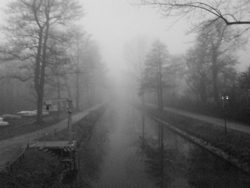 therealills's profile picture. 