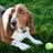 Adam_G_Kehl's profile image