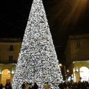 Anna Daniele - @4a4896fc185a45f - Twitter