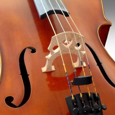 Cello Player