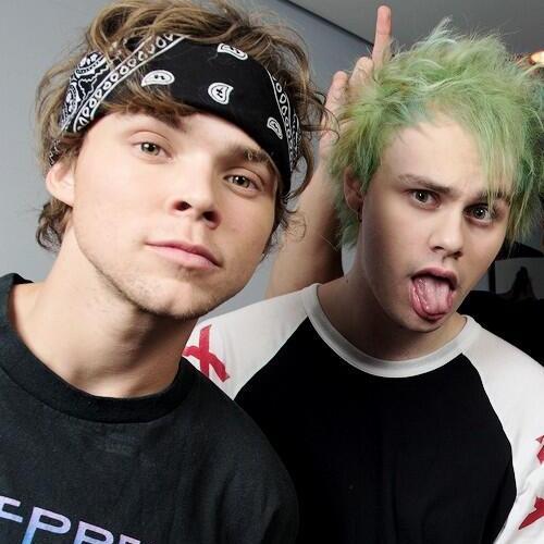 freesos3's profile picture. free follow by @playercth