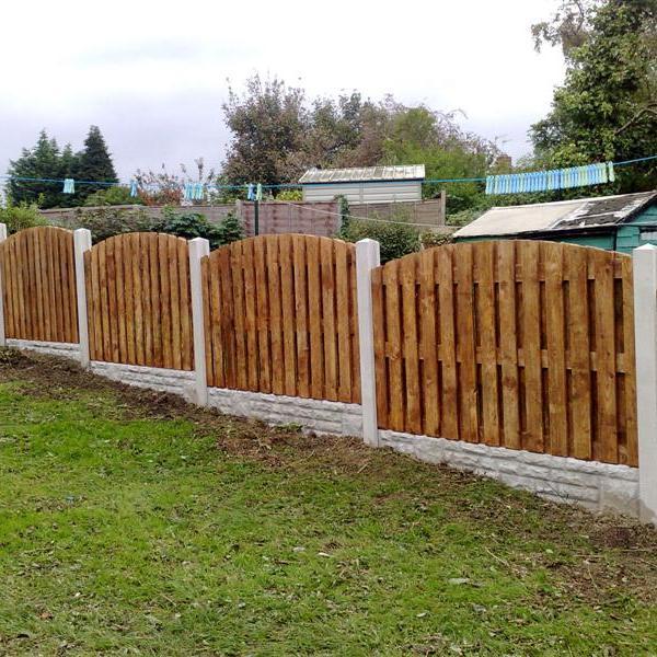 straighterline1's profile picture. 