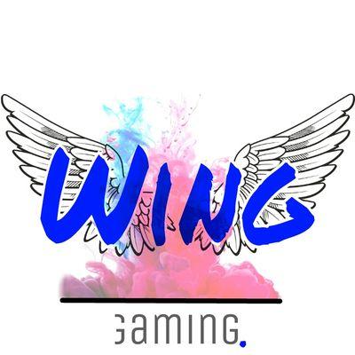 New gaming team. #Fly