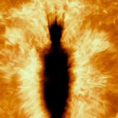 Jakob_D_'s profile picture. 