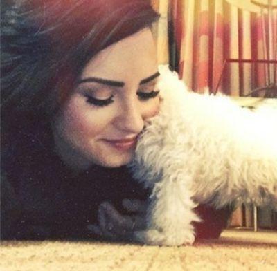 Jingle bell, haters smells, losers go away! Demi's hot, haters not, LOVATICS GO AWAY, HEY!!!! Follow back!!!! P.S. I am also a Directioner!