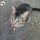 Alan Teoh - @alanteoh95 - Twitter