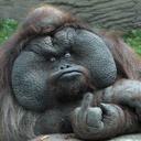 Robert Cramer - @robcramer202 - Twitter