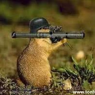 AngelVeela (@angelveela) 's Twitter Profile