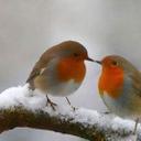 erica joyner - @ericajoyner4 - Twitter