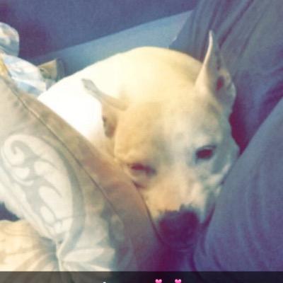 BambinoChelsea's profile picture. insta~ chelsea_abc123. snapchat~ chelseaxx22. wattpad~ @ChelseaLindsay (yes i write! belive it or not). skype~ chelsealindsay112211