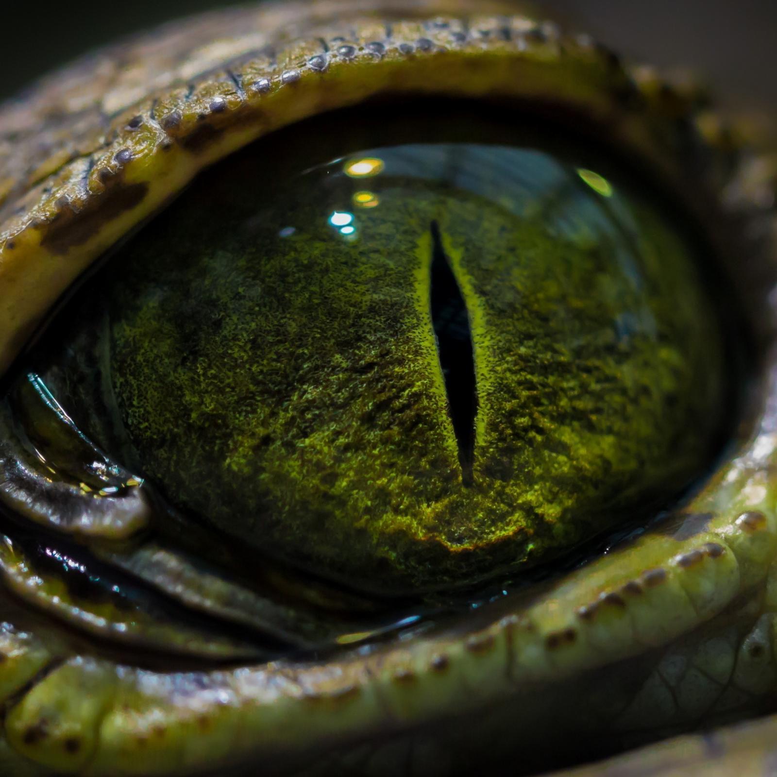 GAmeVoiceHQ's profile picture. GAMING COMMUNITY