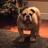 walterwilko's profile image
