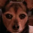 Mark Maas - @hawkeye014 - Twitter